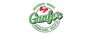 02-ganfer