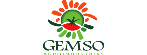 03-gemso