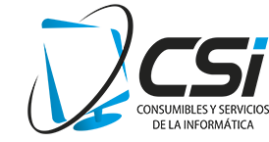 Consumibles y Servicios de la Informática